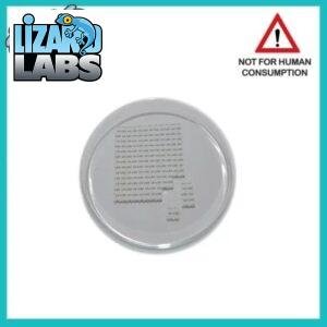 Buy 1D-LSD 150mcg Blotters Online
