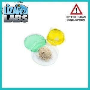 Buy 4-AcO-MET fumarate Online